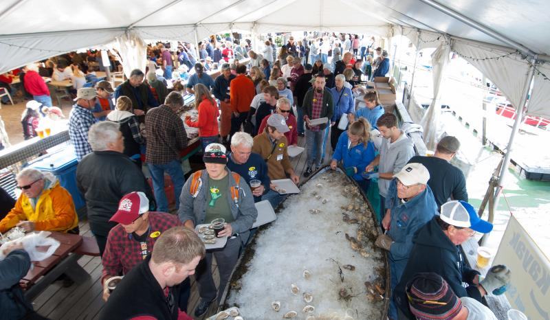 Pemaquid Oyster Festival: Dates, Venue and Where to Stay